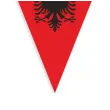 baner flagi panstwa swiata albania diy 3 6 m
