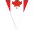 baner flagi panstwa swiata kanada diy 3 6 m