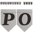 baner flagi polowinki 2023 srebrny diy 2 5 m