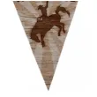 baner flagi western dziki zachod brazowy boland 600 cm