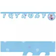 baner frozen 2 anka i elsa happy birthday procos 2 m
