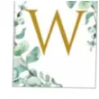 baner wieczor panienski listki bialy partycollection 3 5 m