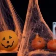 dekoracja halloweenowa pajeczyna pomaranczowa partypal 20 g