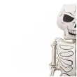 dekoracja na halloweem duzy balon foliowy kosciotrup xxl kremowy 61 shp