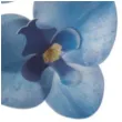 dekoracja na muffinki duza orchidea granatowa dekora 10 szt