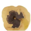 dekoracja na muffinki oplatki bratki kolorowa dekora 11 szt