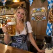 dekoracja na oktoberfest plakat do powieszenia na okno drzwi bawarski festiwal piwa festyn bawaria