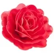 dekoracja na tort kwiat roza czerwona dekora 12 5 cm