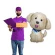 dekoracja na urodziny prezent balon foliowy pies cobberdog piesek psiak 24 shp