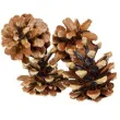 dekoracja naturalne szyszki arpex 6 cm 4 szt