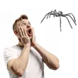 dekoracja pajak gigant carnival toys 55 cm