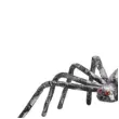 dekoracja pajak gigant carnival toys 55 cm
