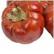 dekoracja suszone dynie jenimport czerwony 5 cm 5 szt