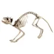 dekoracja szkielet kota smiffys 60 cm