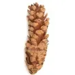 dekoracja szyszki sosna wejmutka aliga 6 szt