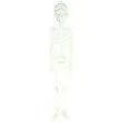 dekoracja wiszaca kosciotrup neon fluorescencyjny guirca 75 cm