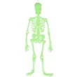 dekoracja wiszaca szkielet fluorescencyjny partypal 33 cm