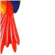 dmuchaniec papuga z karaibow widmann 60 cm