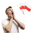 flagi na patyczku polska arpex 30 cm 3 szt