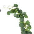 girlanda eukaliptus partydeco 180 cm