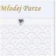 kartka okolicznosciowa mlodej parze azurowa paw 12 5 x 17 6 cm