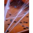 konfetti halloween pajaki czarny partydeco 15g