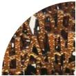 konfetti happy halloween zloto czarne santex 10 szt
