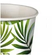 kubeczki papierowe liscie palmy i monstera guirca 240 ml 6 szt