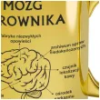 kubek ceramik zloty metalik nadruk czarny mozg kierownika prezent upominek