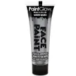make up party farba do makijazu srebrna paintglow 13 ml