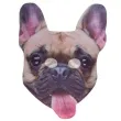 maska xxl buldog francuski ootb