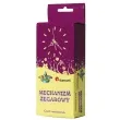 mechanizm zegarowy classic titanum
