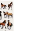 naklejki konie kreskowkowe foliowe brazowe titanum ok 3 5 cm 18 szt