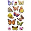 naklejki motyle wielobarwne mix titanum 14 szt