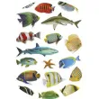 naklejki ryby kolorowe mix titanum 18 szt