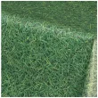 obrus foliowy pilka nozna trawa boiska zielony unique 137x274 cm