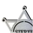 odznaka szeryfa srebrna przypinka dodatek do stroju kowboja