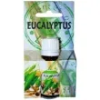 olejek zapachowy essences of life eukaliptus ravi 10 ml