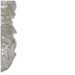ozdoba choinkowa opalizujace piorko arpex 14 cm