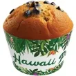papilotki na muffinki hawaii party congee 6 szt