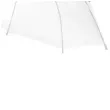 parasol clear dekoracjepolska