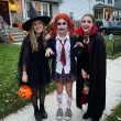 peruka party pippi zombie ruda maxx10group
