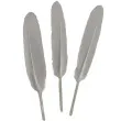 piorka dekoracyjne lotki biale titanum 50 szt