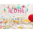 plakat aloha congee 70 x 33 cm