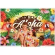 plakat aloha hawaje guirca 220 x 150 cm