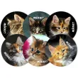 podkladki drewniane kotki miau mix 6 szt