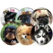 podkladki drewniane psy szczeniaki mix 6 szt