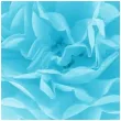pompon bibulowy classic blekitny partypal 15 cm