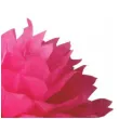 pompon bibulowy classic rozowy arpex 42 5 cm