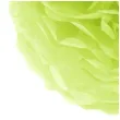 pompon bibulowy classic zielony partypal 15 cm